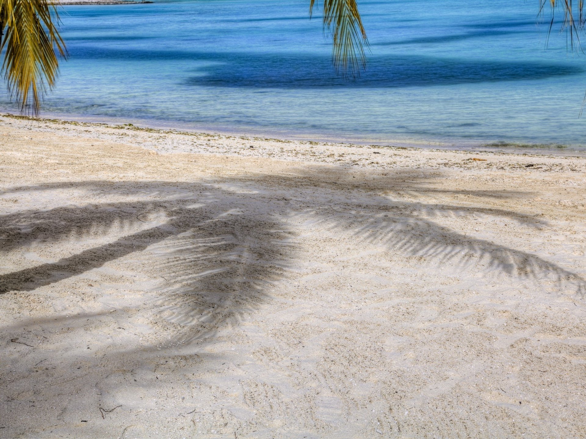 palme schatten sand