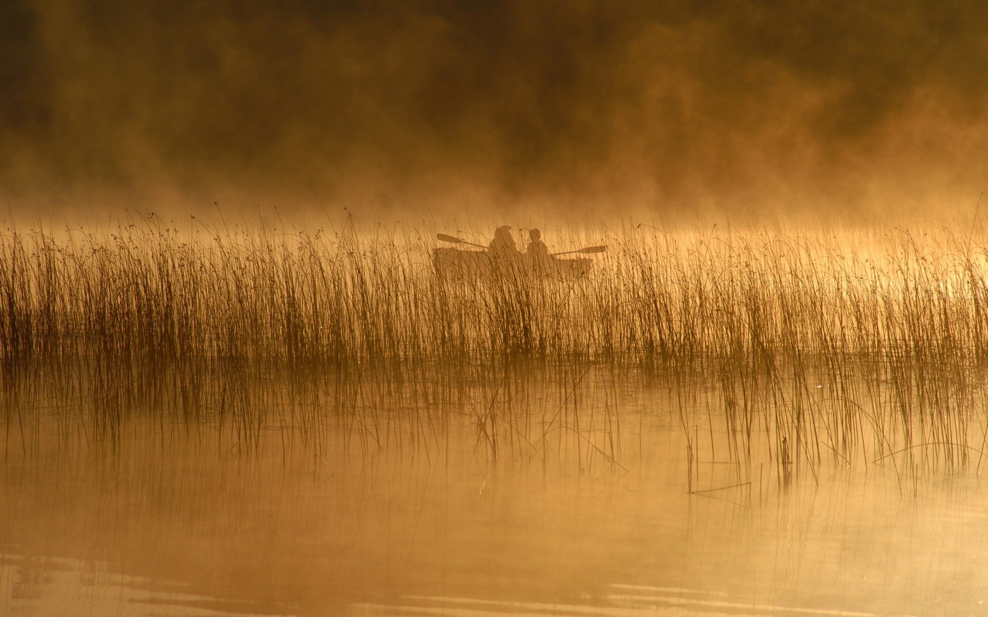 river reed boat people lakes rivers fog landscape nature