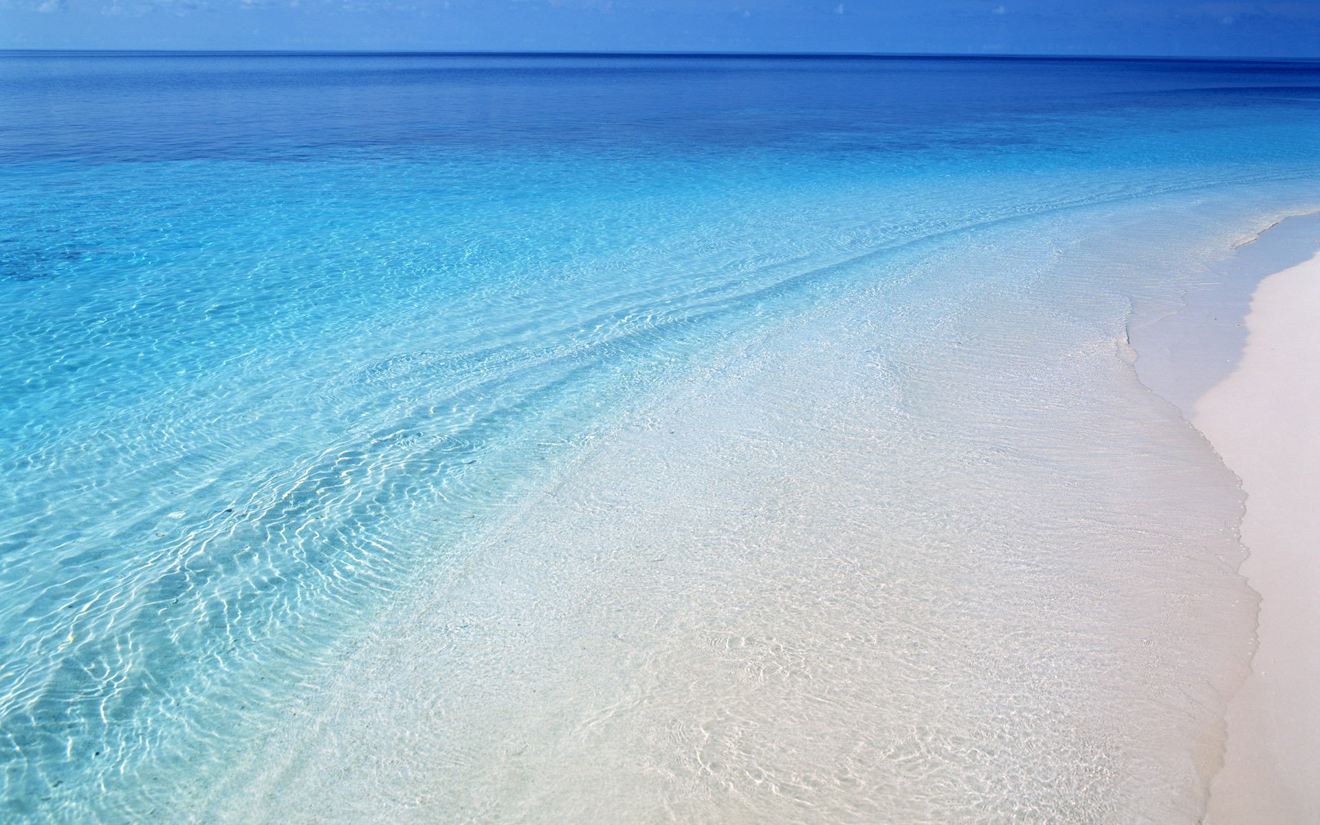 beach shore water waves sea