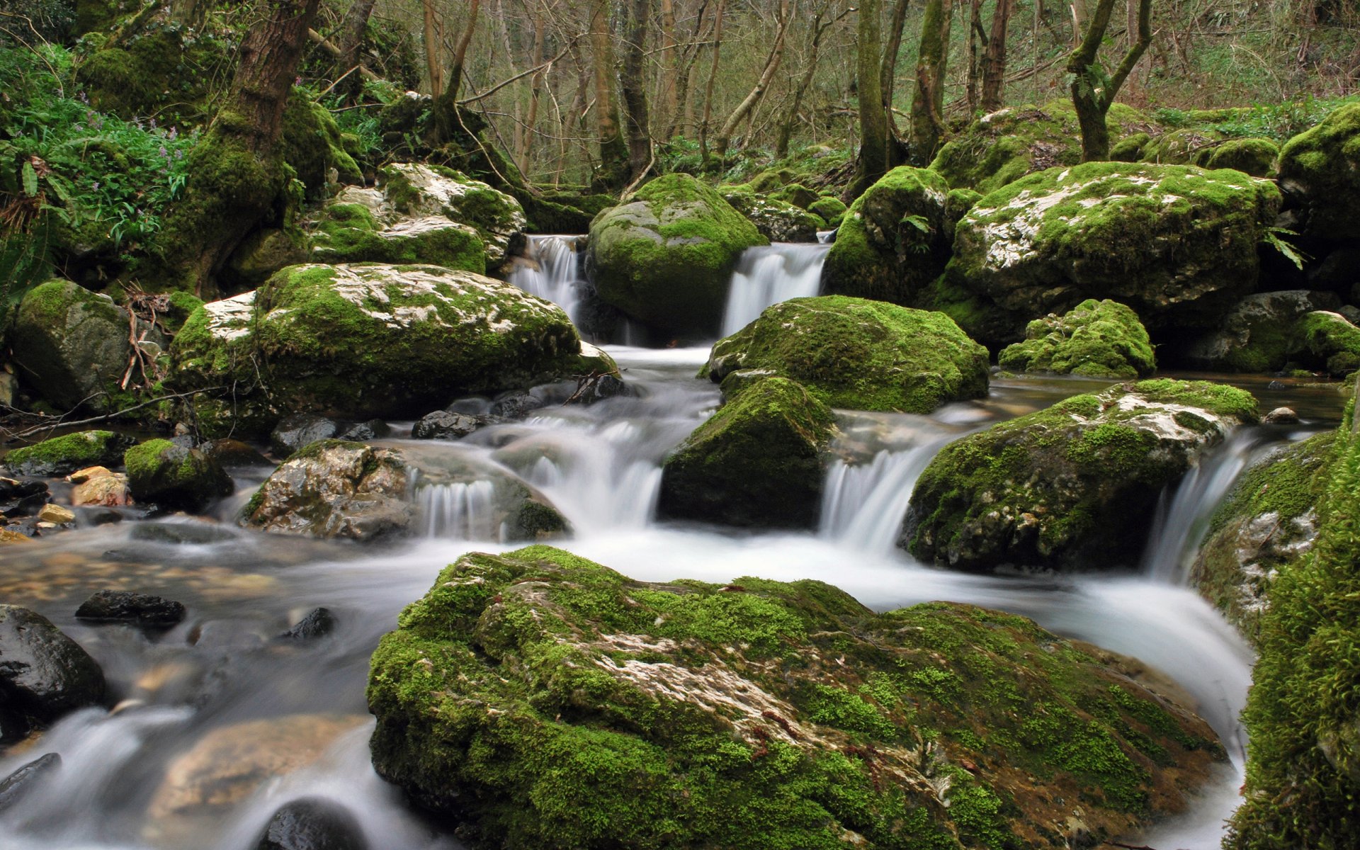 agua arroyo piedras