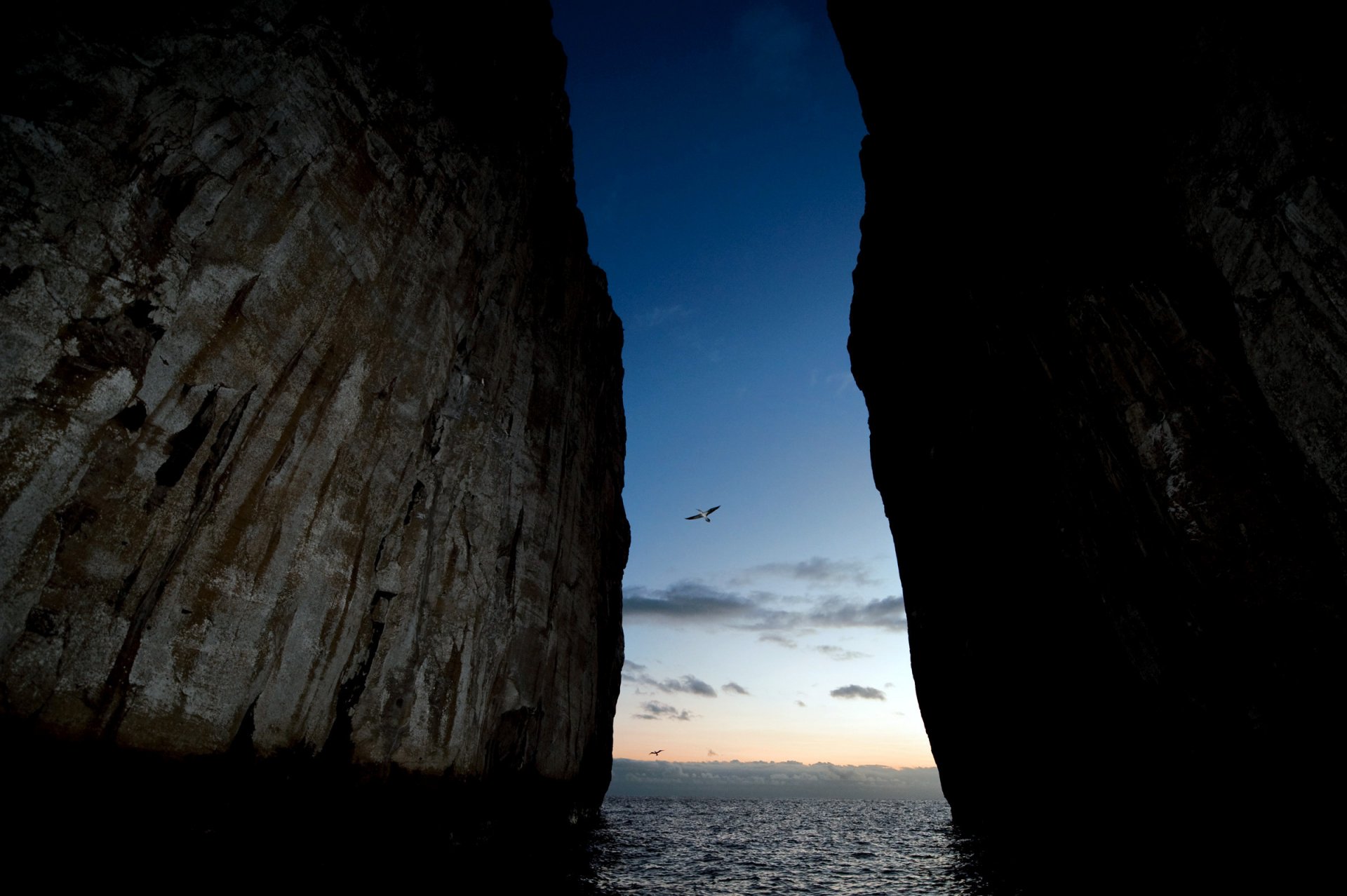 faglia rocce.oceano uccelli potere