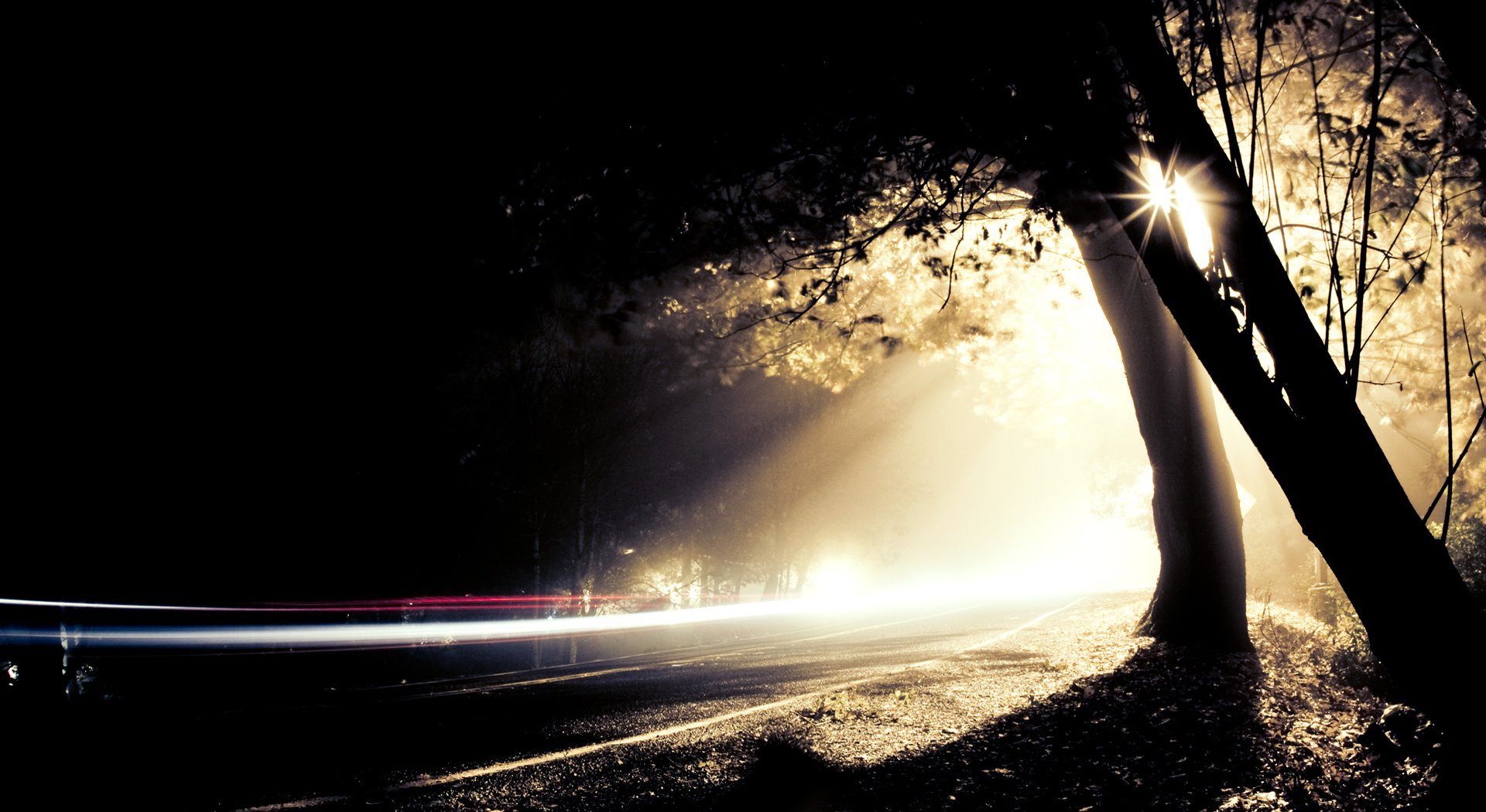 straße nacht bäume licht