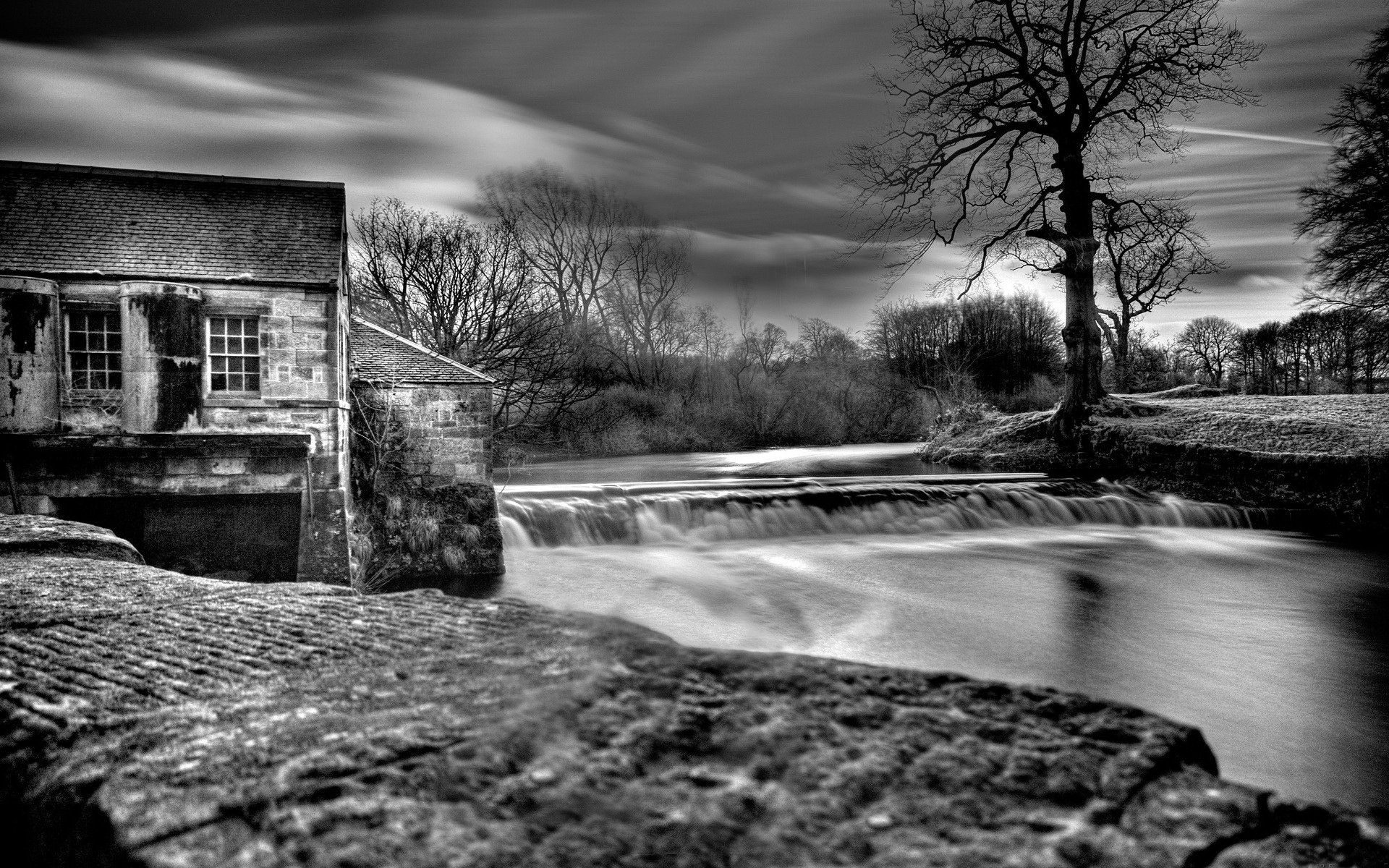 b / n diga acqua albero sulla riva