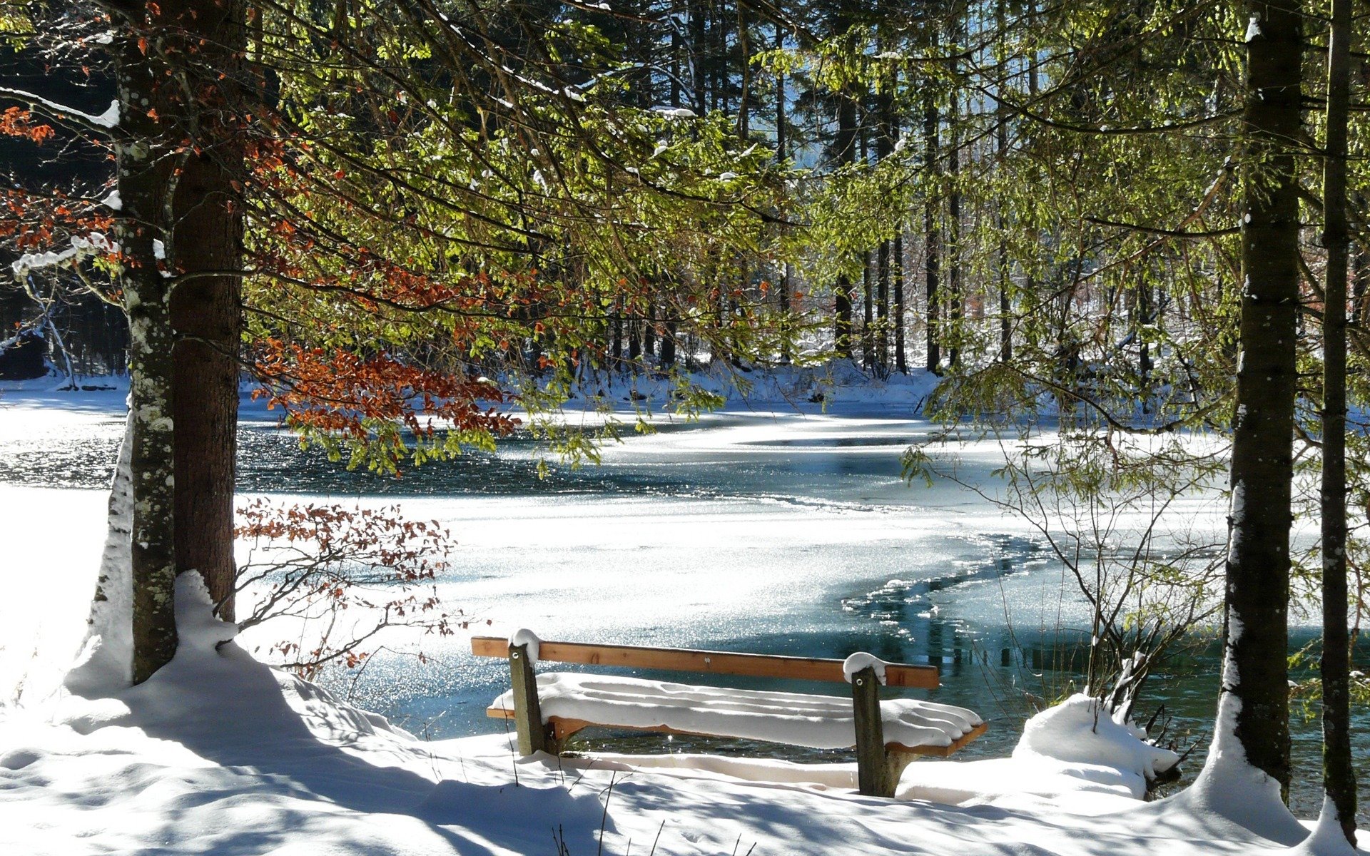 bench winter cool river snow tree romantic