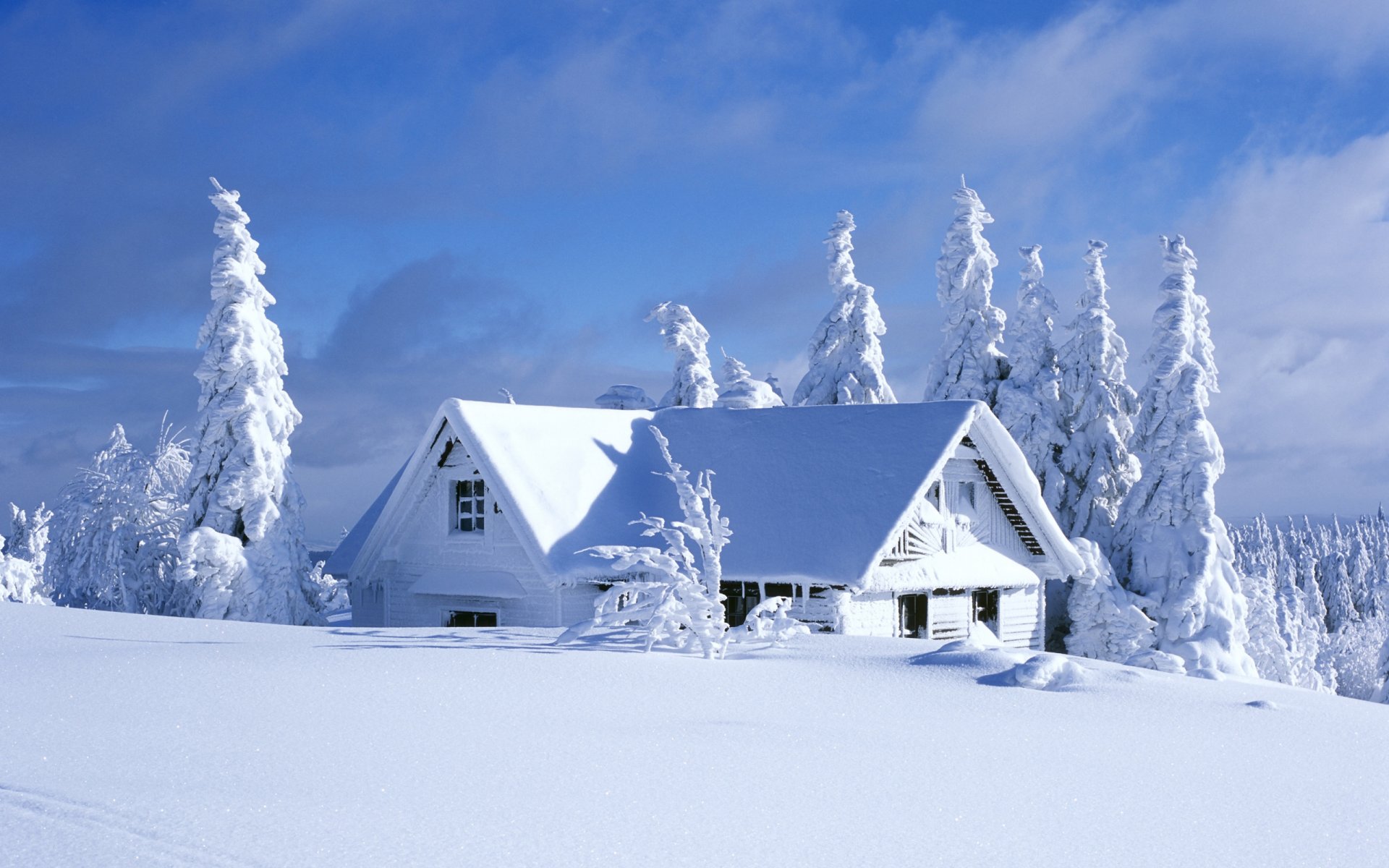 cabaña nieve abeto cielo