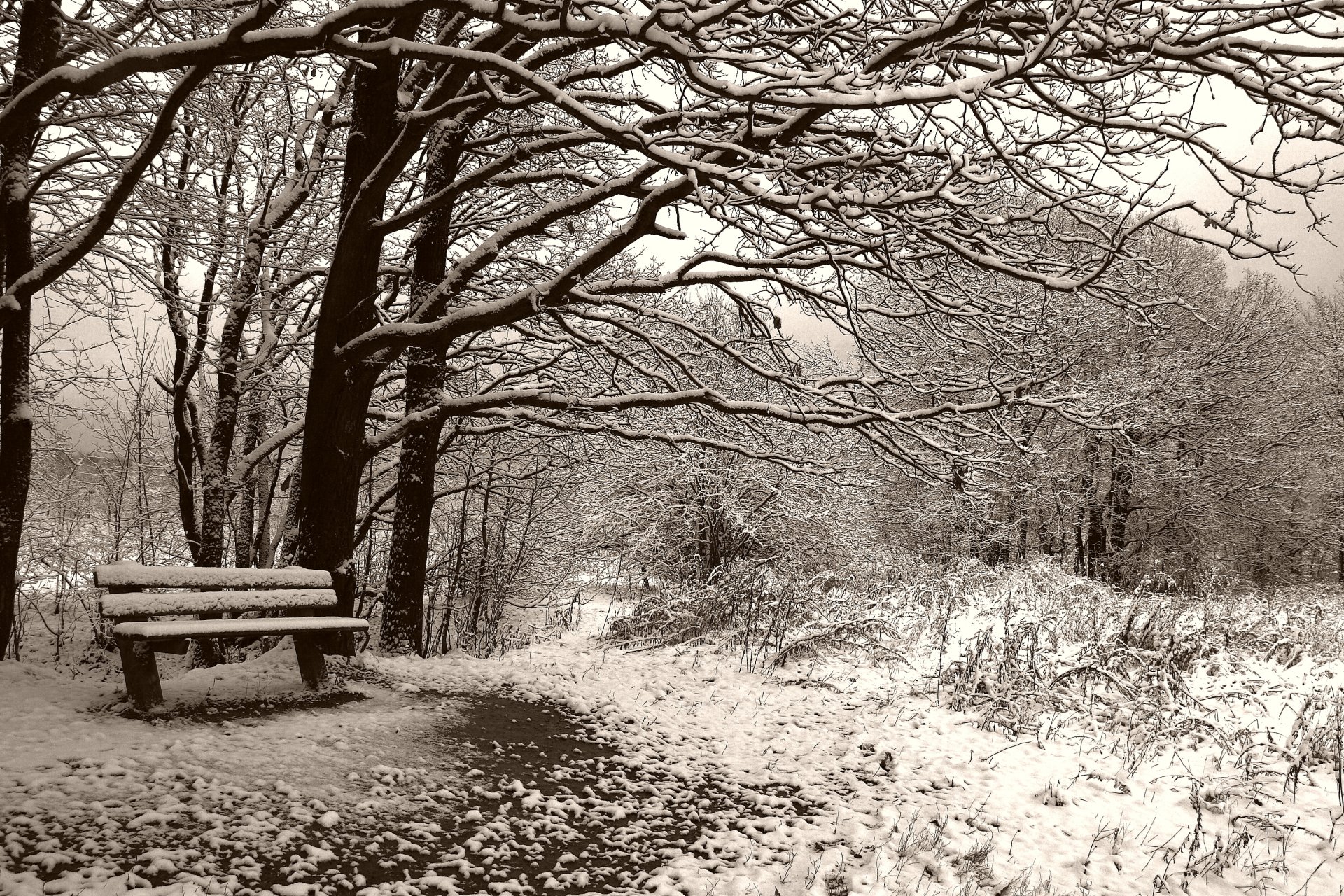 zima ławka sepia