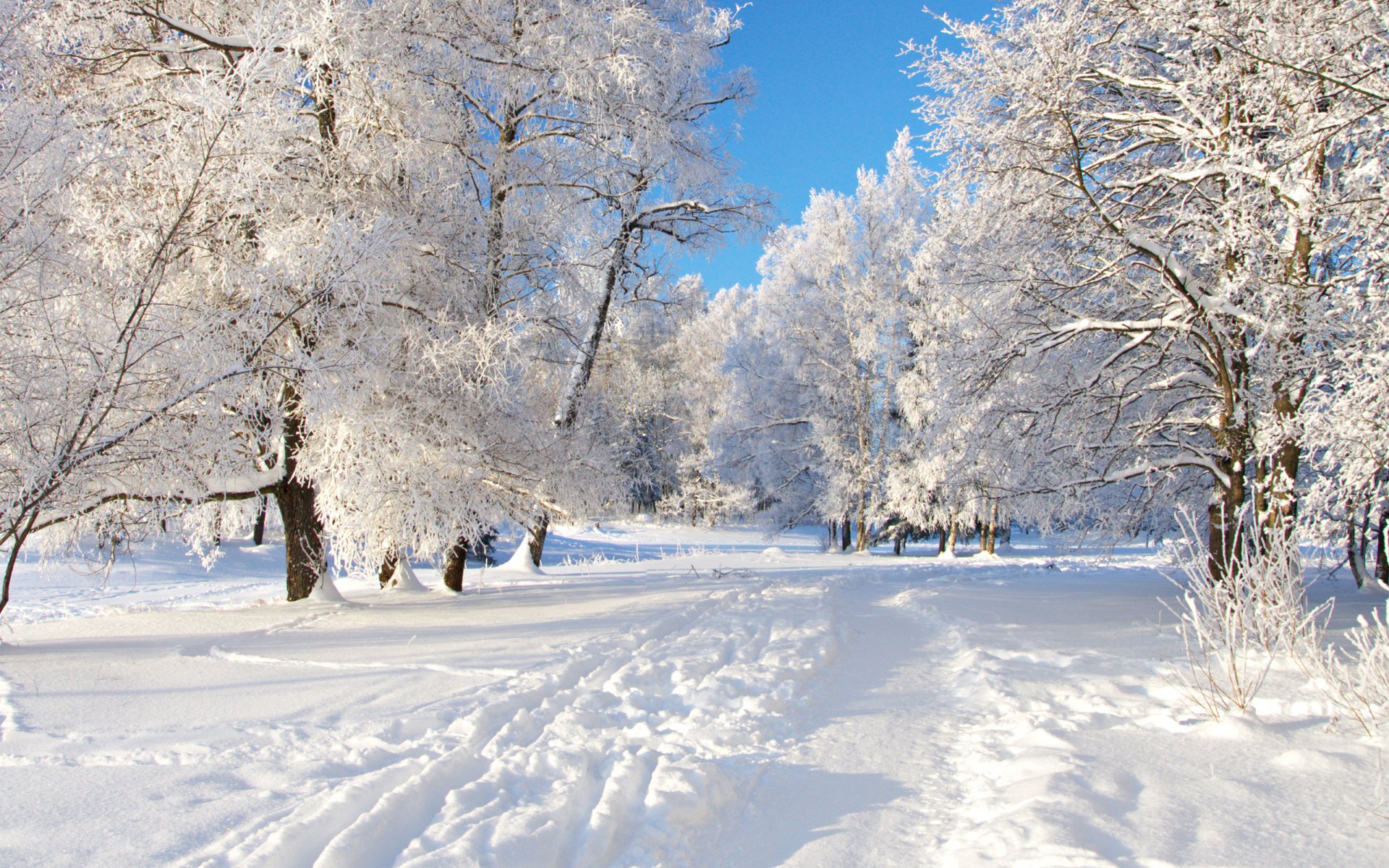 neige passerelle arbres