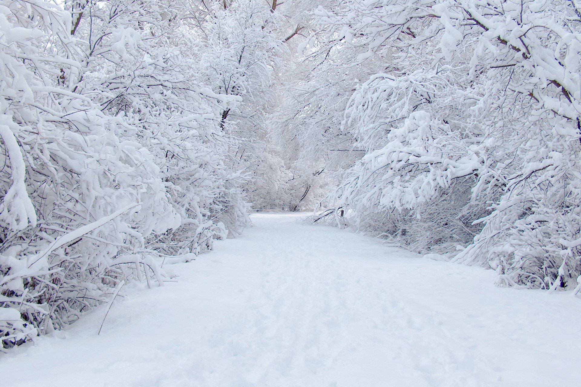 hiver route neige