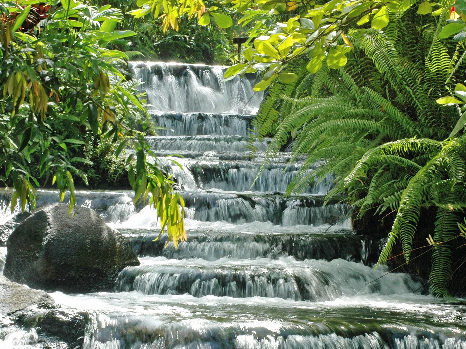 cascata cascata verde