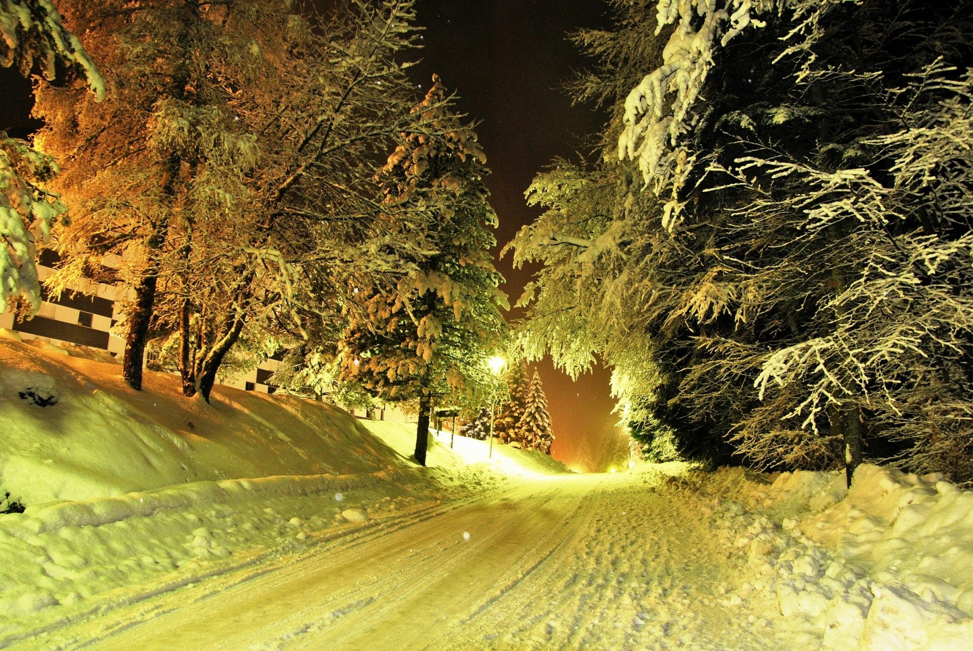 winter straße schnee bäume laternen