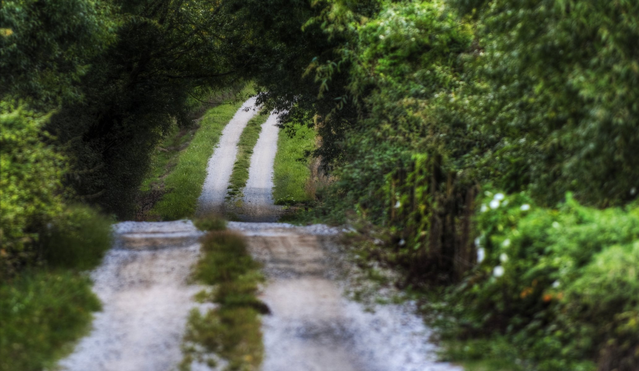 landscape nature road