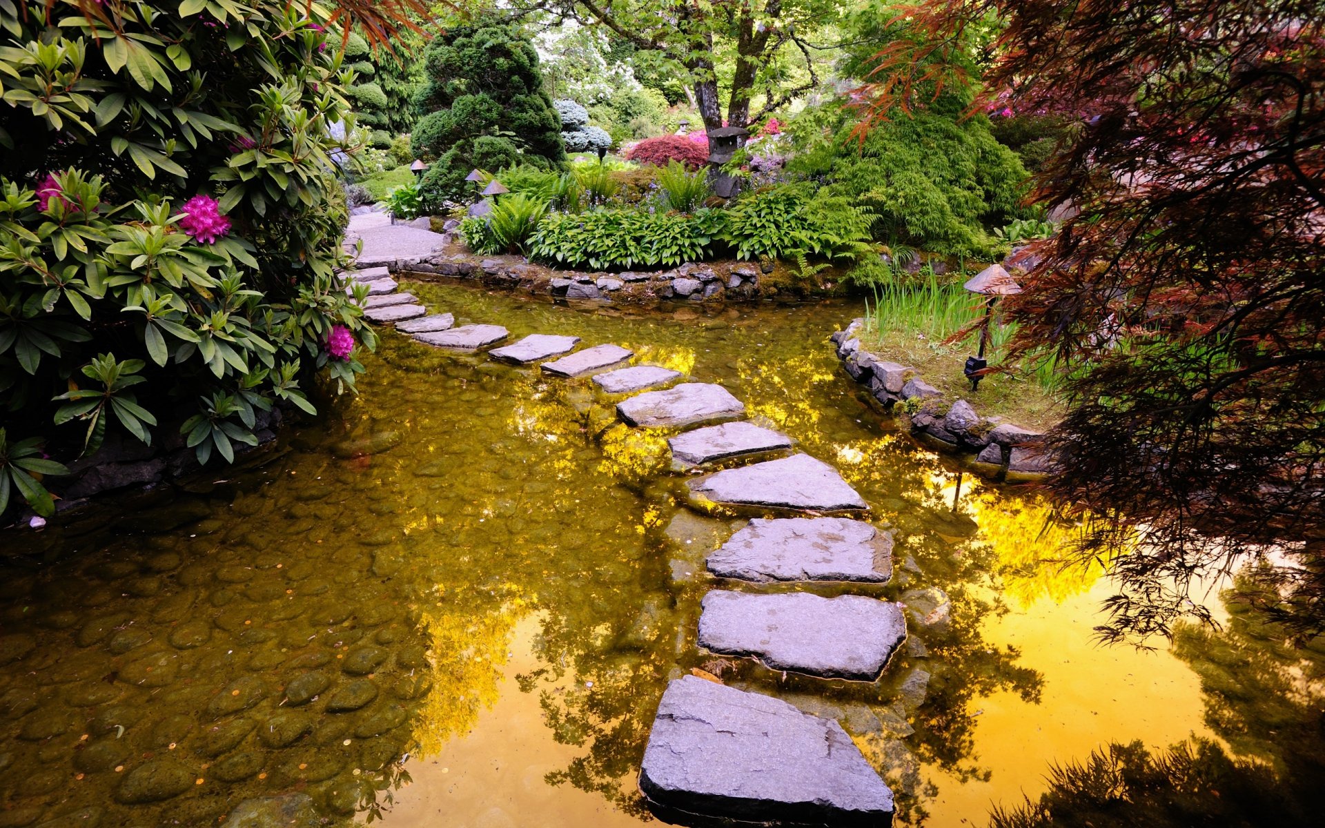 chemin pierres rivière