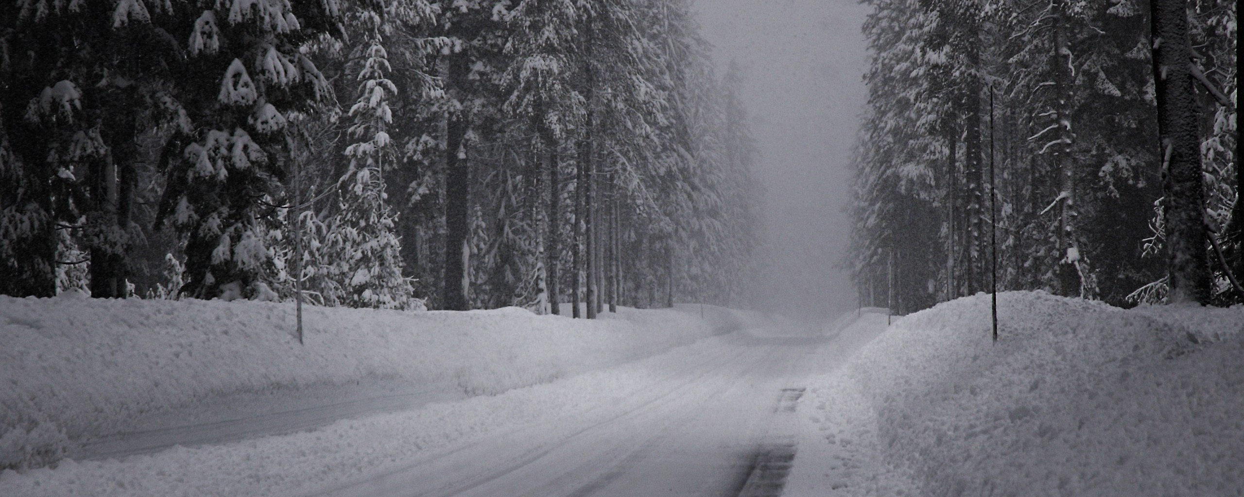 el invierno la carretera la nieve marbordo