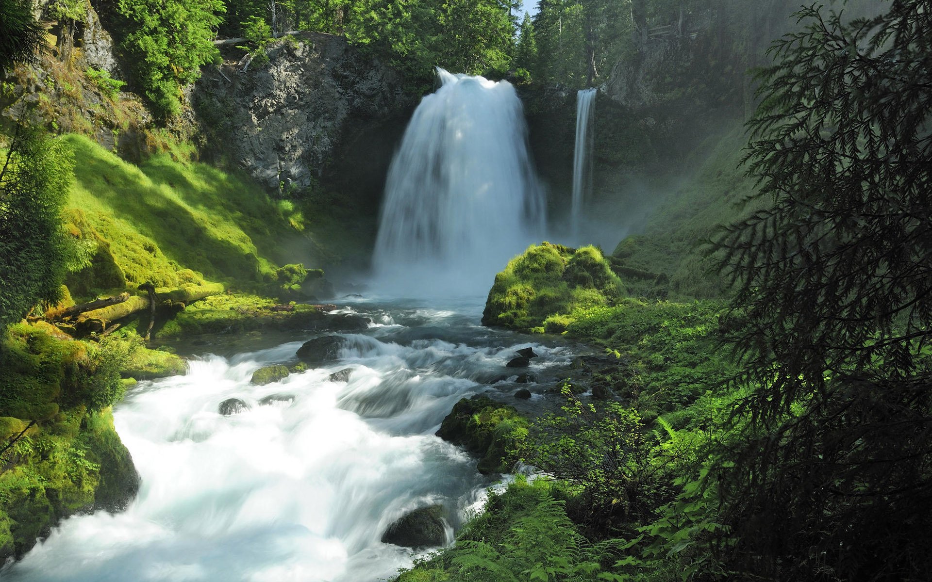 nature cascade été forêt eau pierres