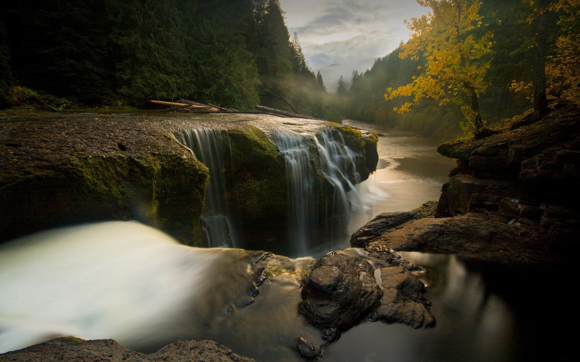 pietre fiume flusso d acqua alberi paesaggio