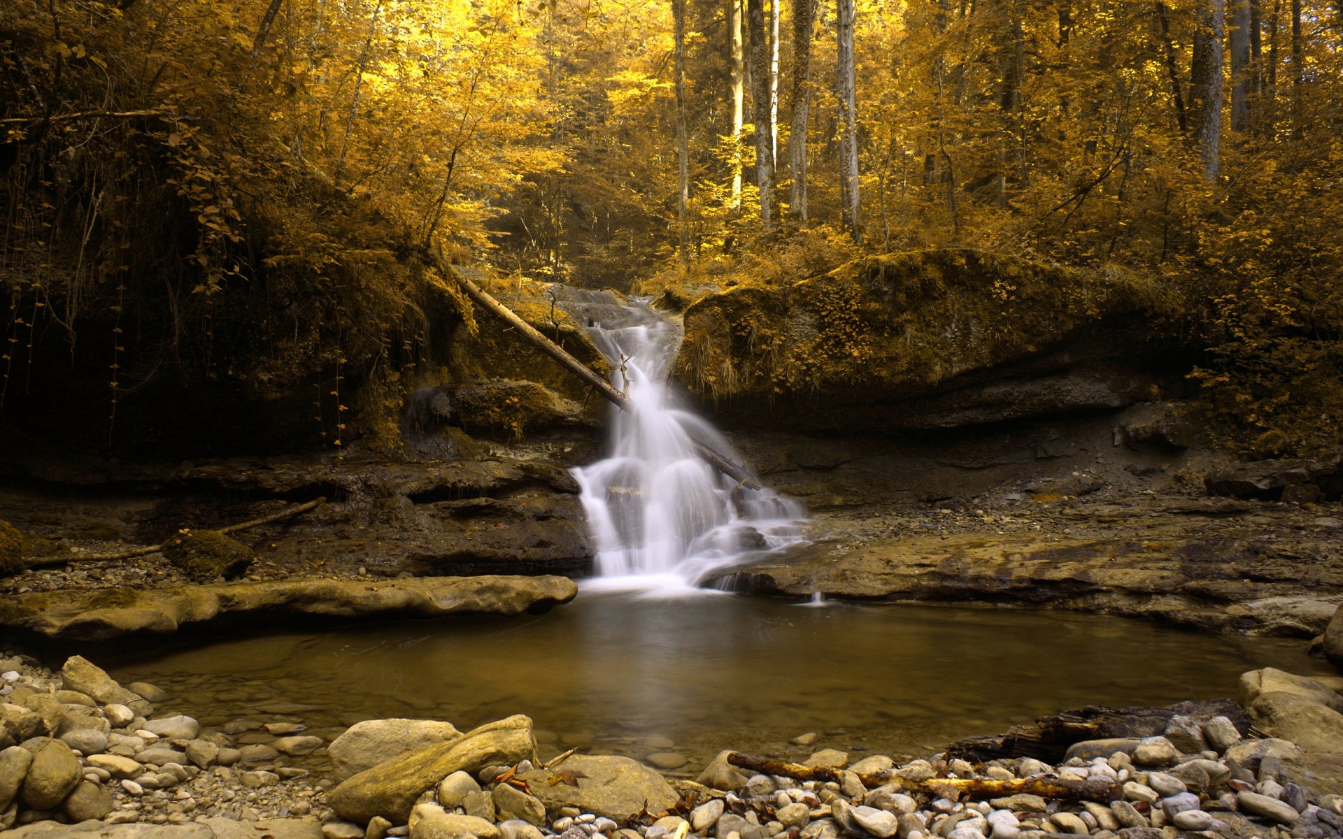 stream schweiz herbst gold