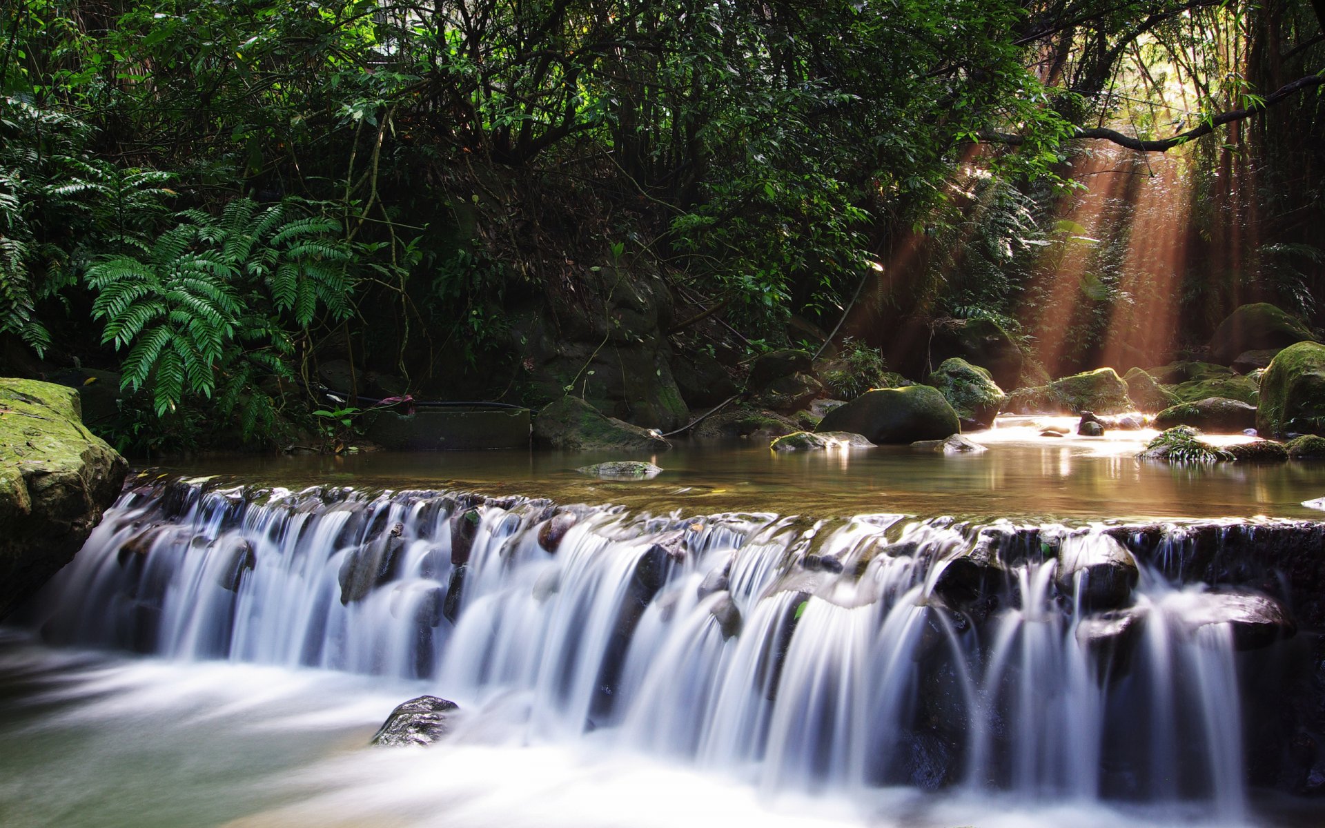 river waterfall forest tree