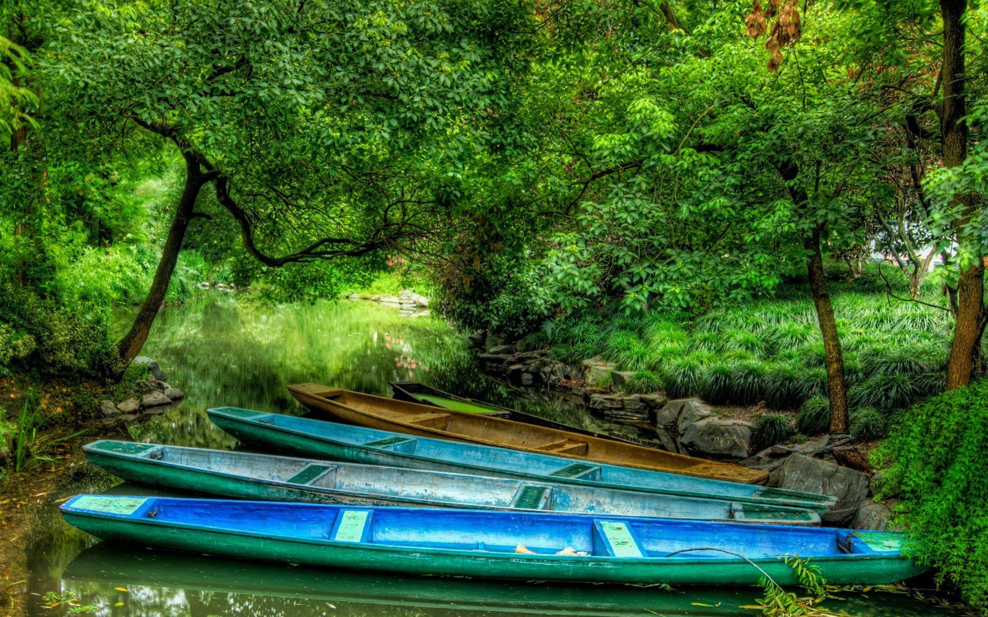 bosque río barcos