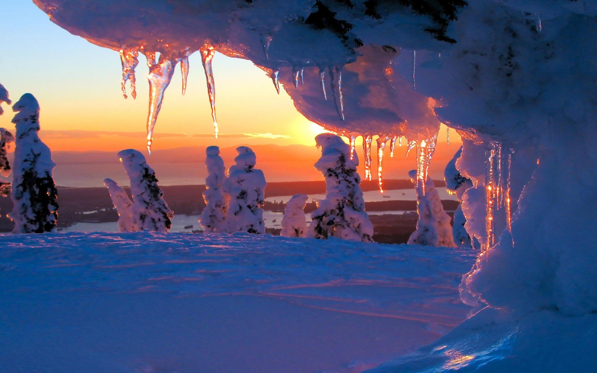 winter schnee sonnenuntergang bäume eiszapfen