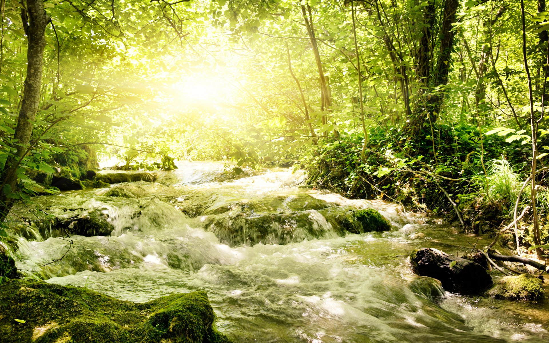 orageux rivière verdure ensoleillé.lumière