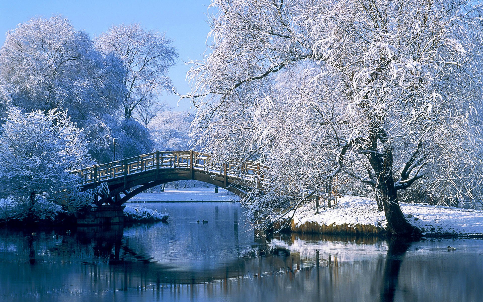 germany bridge winter