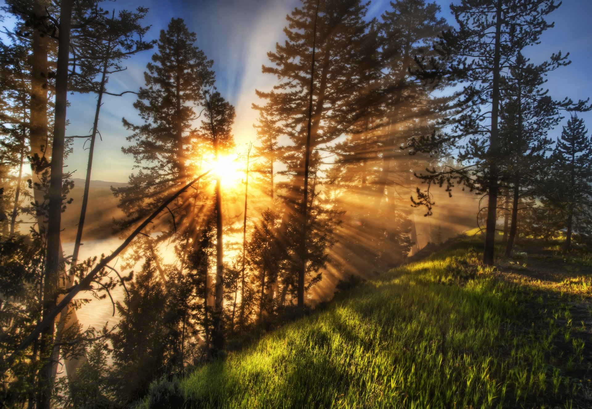 naturaleza paisajes rayos de luz sol árboles hierba