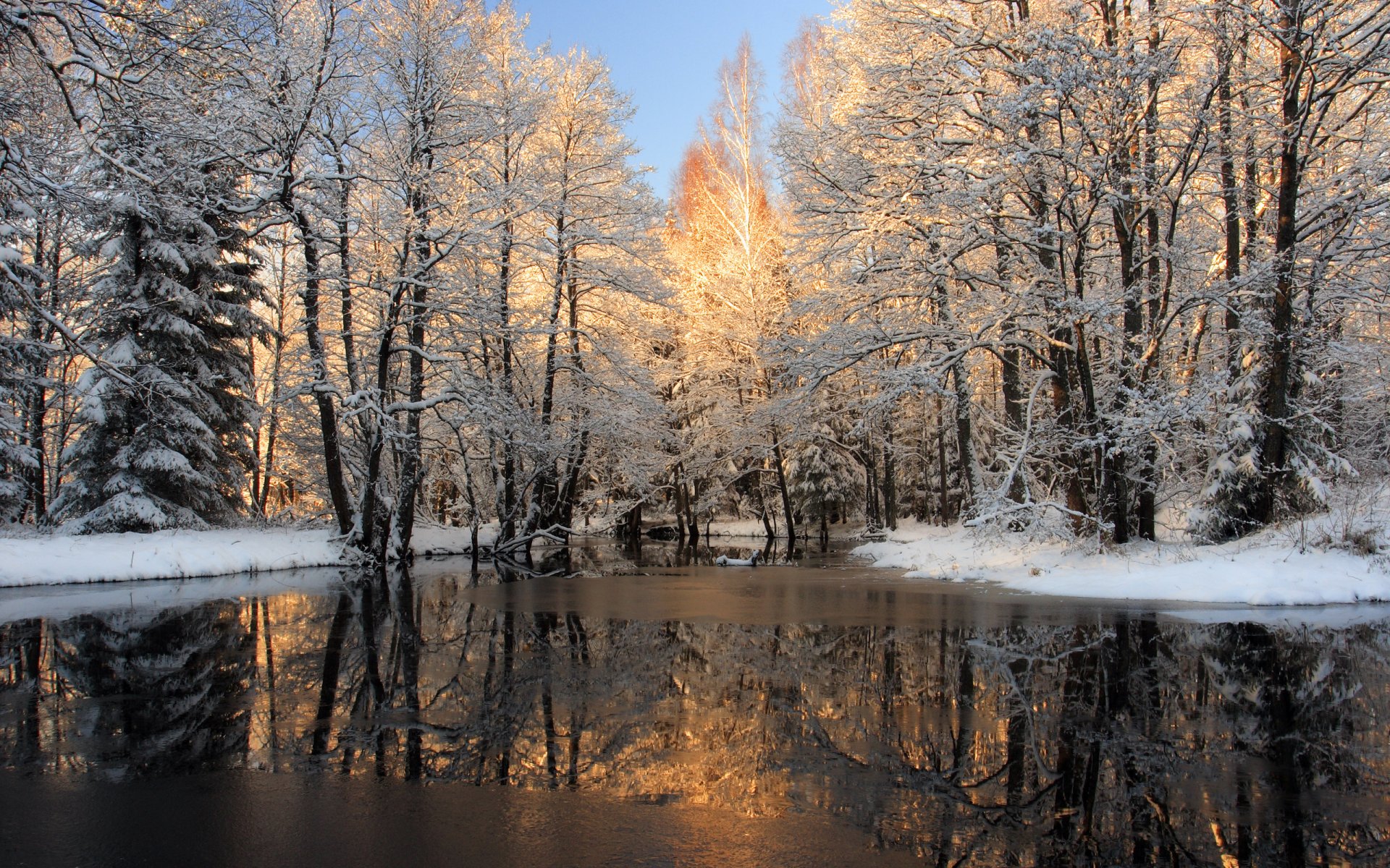 natura inverno neve alberi acqua foto