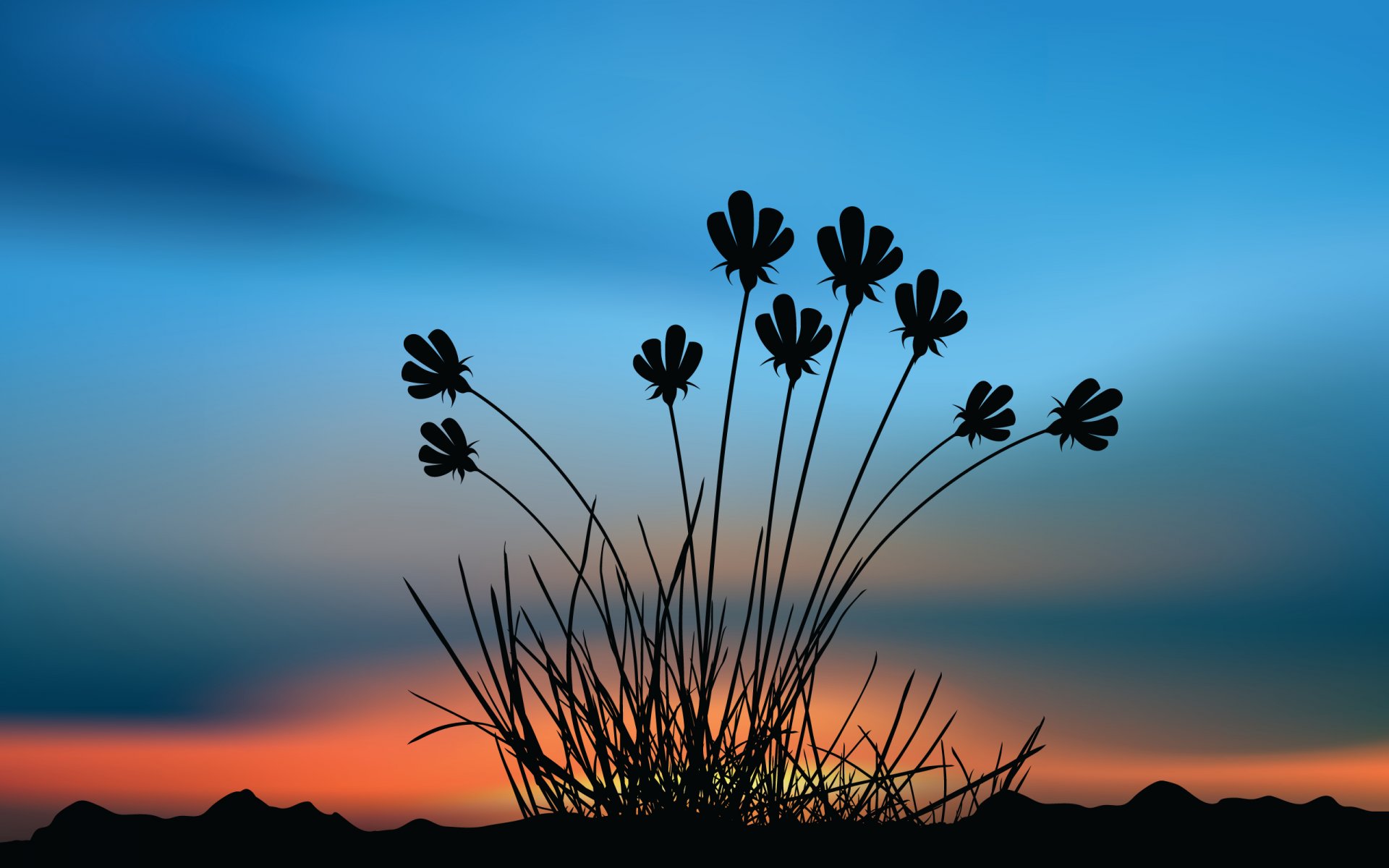 flores puesta de sol cielo paisaje