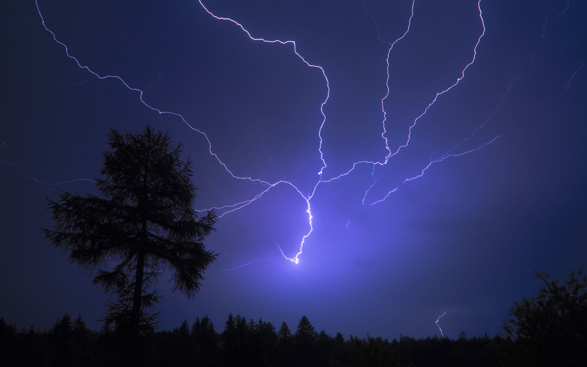 flash lightning tree night