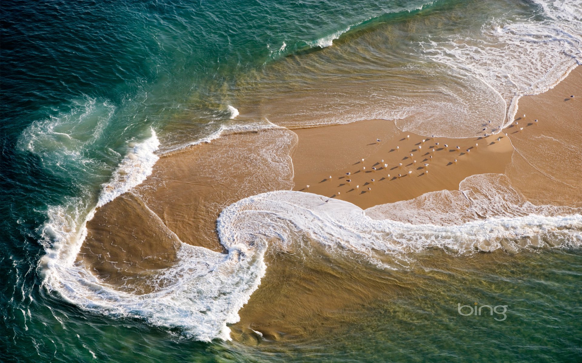 wave beach sea