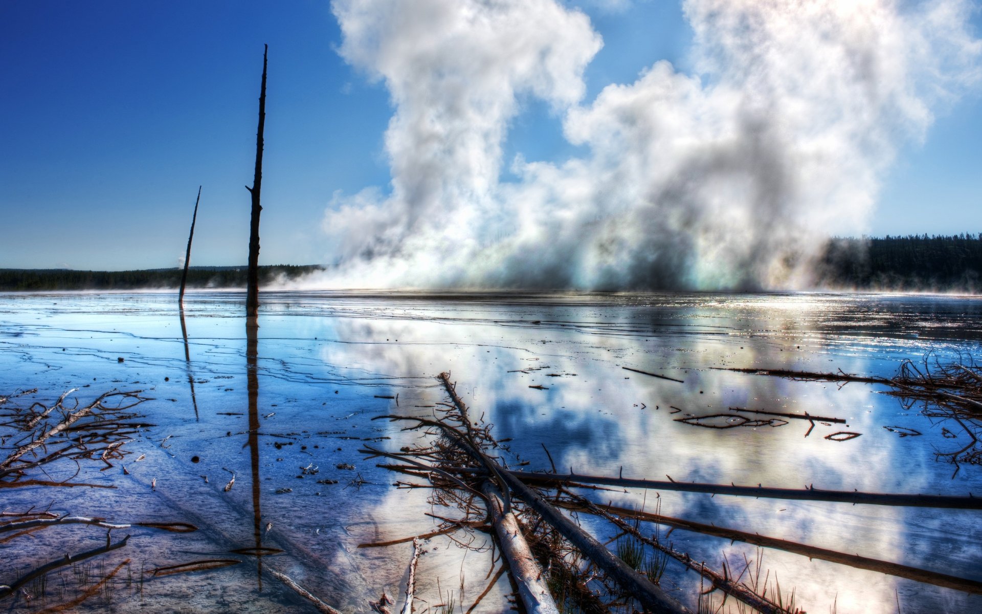 yellowstone vapeur forêt