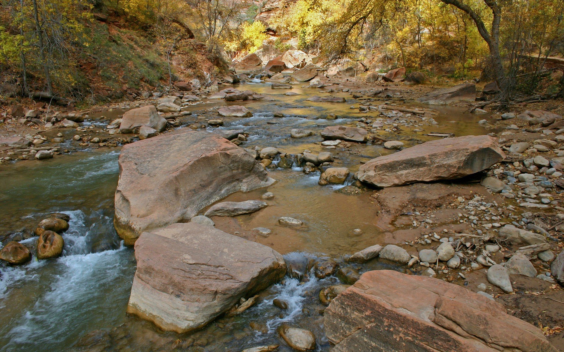 tones water river feed tree