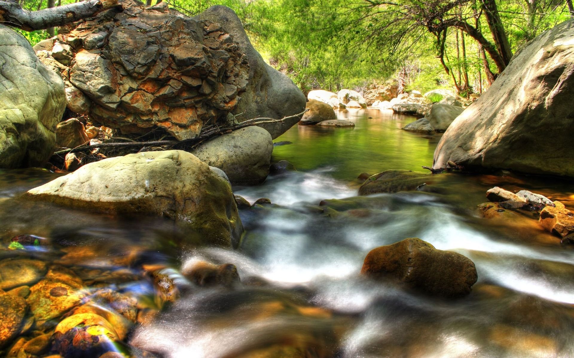 creek forest stone