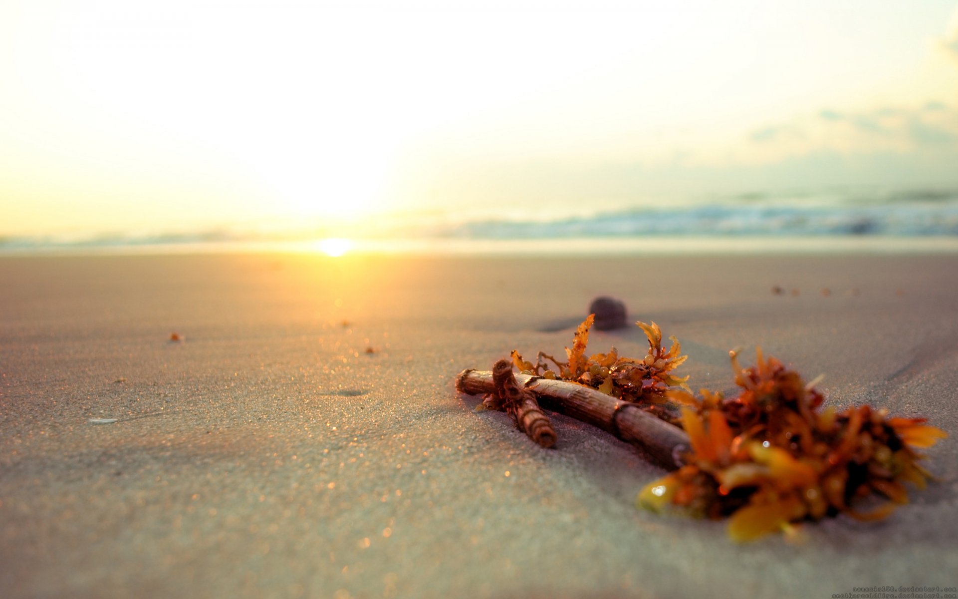 bastone spiaggia sabbia