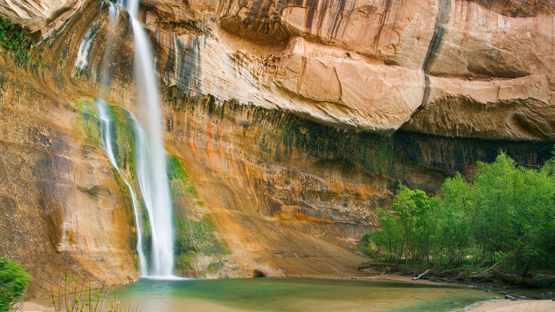 waterfall rock tree