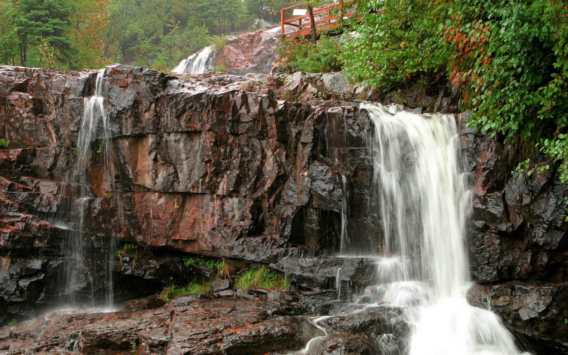 bosque puente bloques rocas cascada movimiento