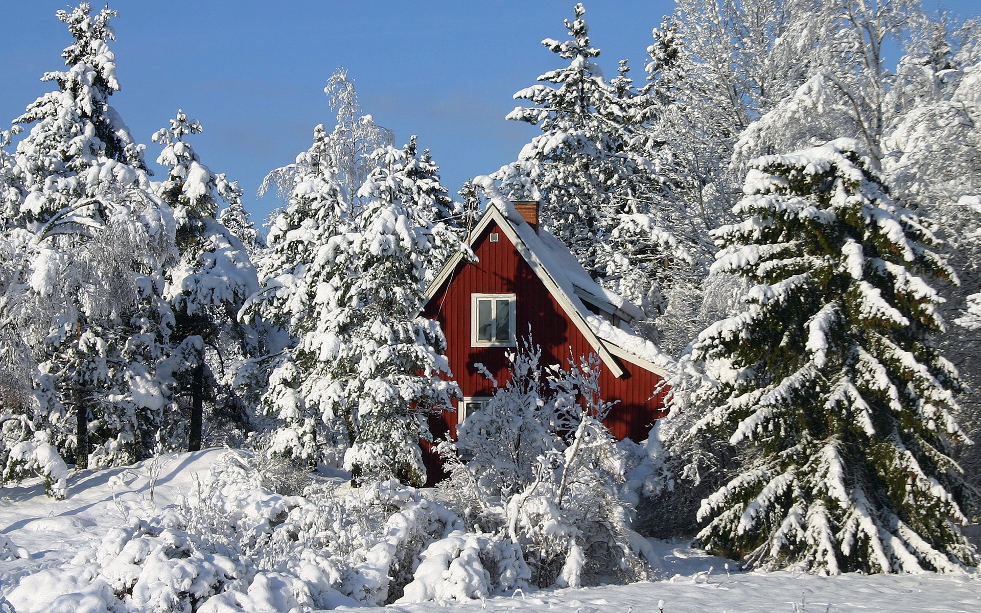 hiver arbres maison