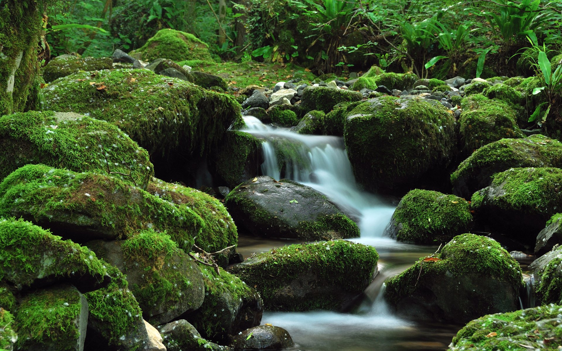 green stones waterfall creek