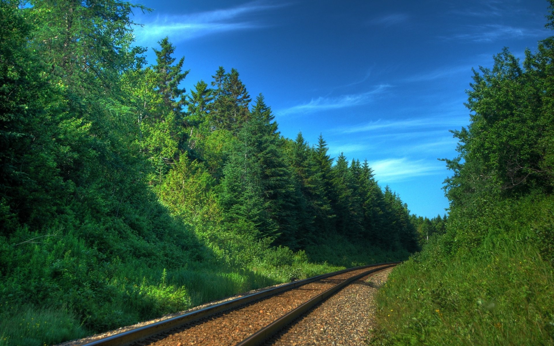 ferrovia ferrovie binari rotaie traversine alberi foreste treni trasporti natura foto