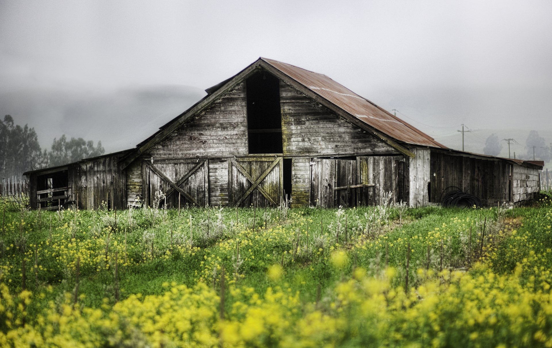 landscape nature supplies plants house abandoned construction