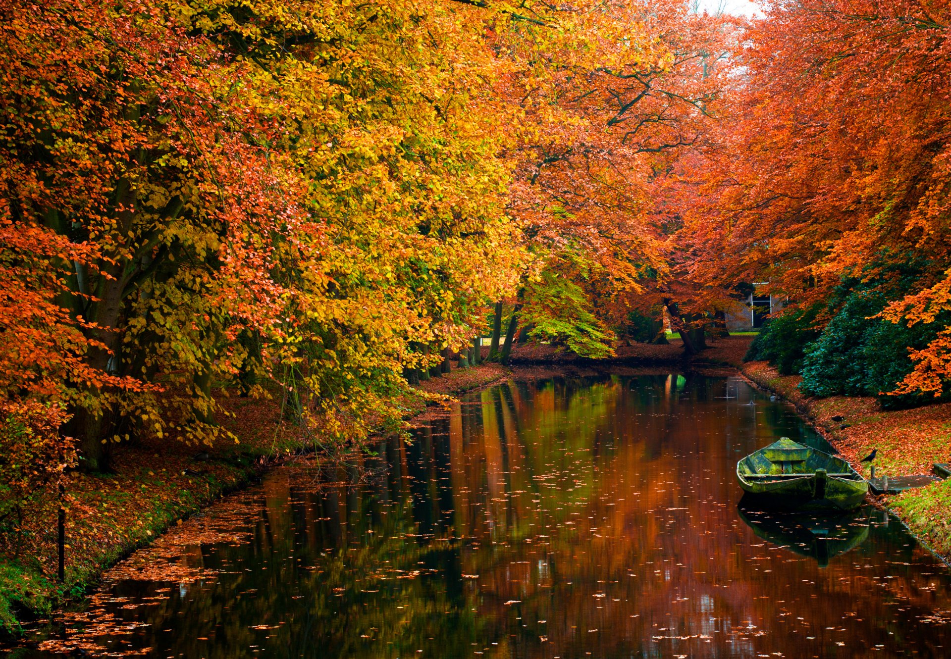 agua otoño árboles romance belleza barco foto