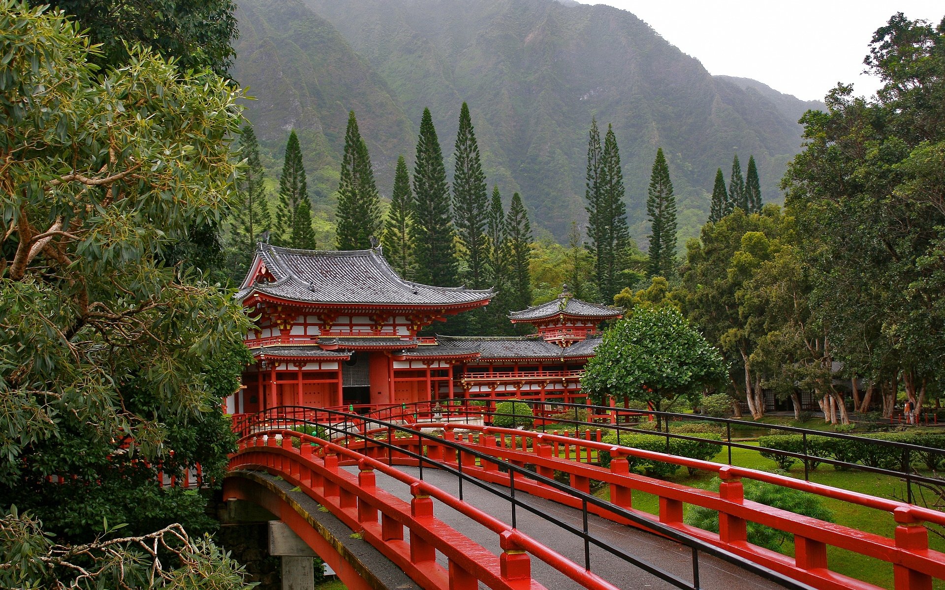 pagoda japonia most drzewa