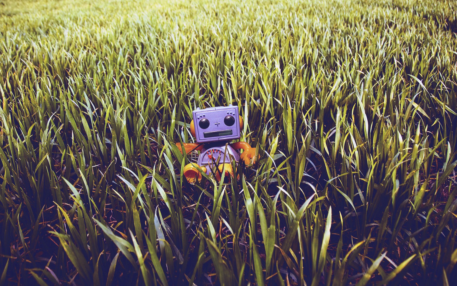 grass turf teddy robot