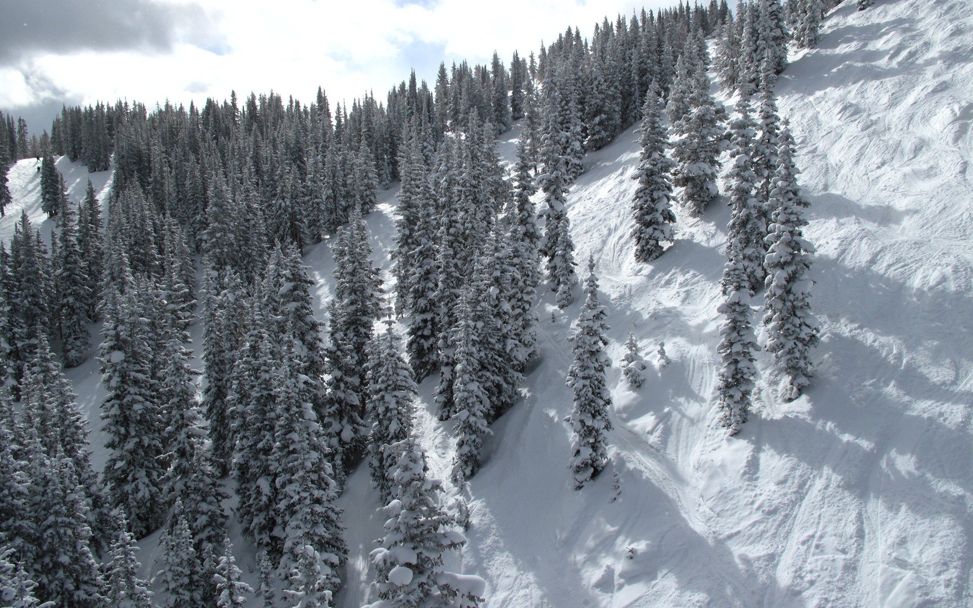 winter berg schnee hang