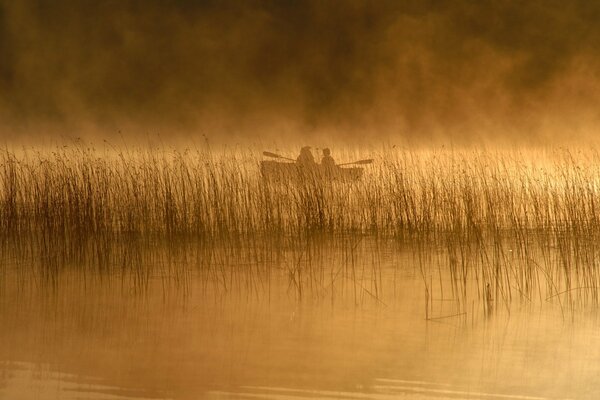 Les gens dans un bateau sur le lac parmi les roseaux dans le brouillard avant l aube