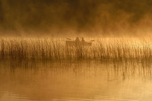 Люди в лодке на озере среди камышей в предрассветной тумане