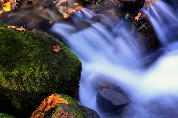 Waterfall with a redi of moss and leaves elements