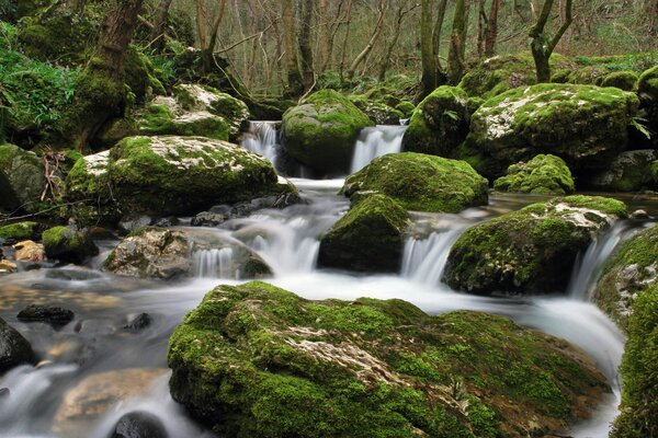 A stream with water among the stones