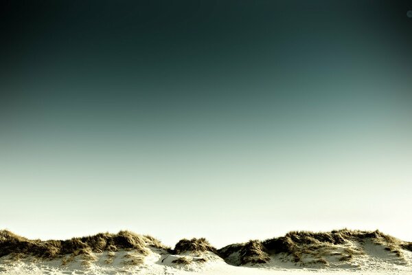 Landscape of white sand with dry grass under the sky