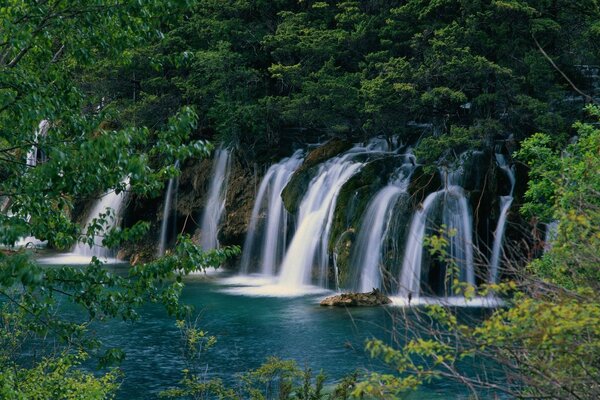 Kaskadierender Wasserfall im grünen Wald